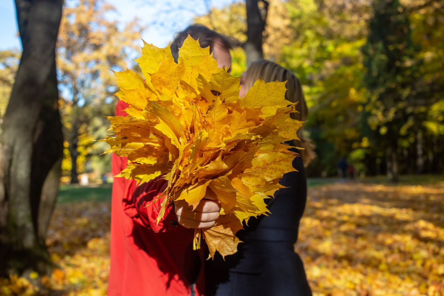 easy-fall-date-ideas