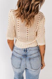 Beige Hollow Out Knitted Crop Top